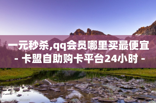 一元秒杀,qq会员哪里买最便宜 - 卡盟自助购卡平台24小时 - 抖音点赞充值50个赞-第1张图片-靖非智能科技传媒