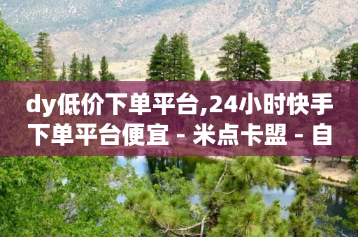 dy低价下单平台,24小时快手下单平台便宜 - 米点卡盟 - 自助下单小程序-第1张图片-靖非智能科技传媒