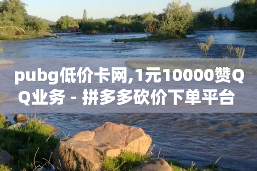 pubg低价卡网,1元10000赞QQ业务 - 拼多多砍价下单平台 - 700元现金-第1张图片-靖非智能科技传媒