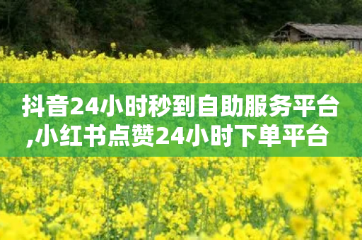 抖音24小时秒到自助服务平台,小红书点赞24小时下单平台 - 网红24小时自动下单助手 - 快手免费打call自助平台有哪些