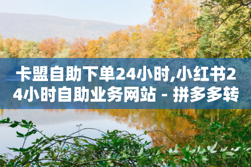 卡盟自助下单24小时,小红书24小时自助业务网站 - 拼多多转盘最后0.01解决办法 - 我的现金大转盘和别人不一样-第1张图片-靖非智能科技传媒