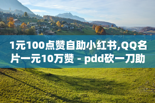 1元100点赞自助小红书,QQ名片一元10万赞 - pdd砍一刀助力助力平台官网 - 拼多多差1个碎片