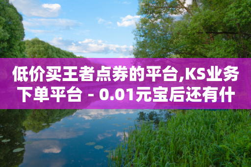 低价买王者点券的平台,KS业务下单平台 - 0.01元宝后还有什么套路 - 拼多多提现50元泄漏信息