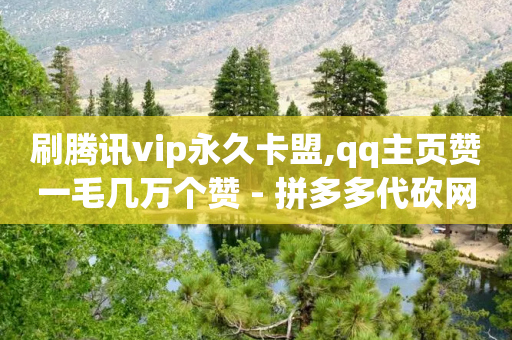 刷腾讯vip永久卡盟,qq主页赞一毛几万个赞 - 拼多多代砍网站秒砍 - 拼多多上货小号购买-第1张图片-靖非智能科技传媒