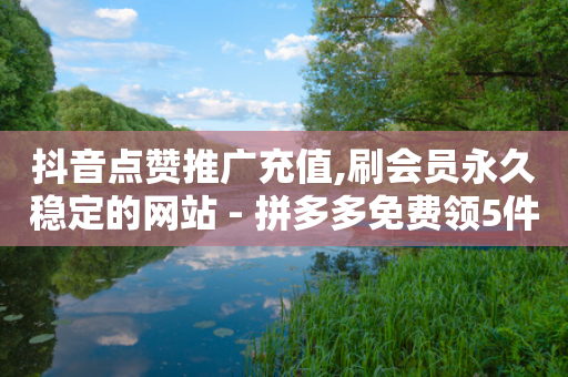 抖音点赞推广充值,刷会员永久稳定的网站 - 拼多多免费领5件助力 - 自助下单网站-第1张图片-靖非智能科技传媒