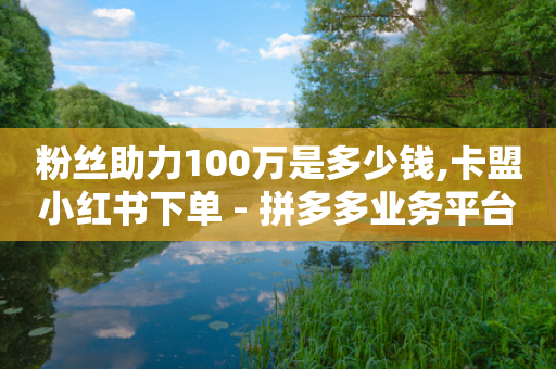 粉丝助力100万是多少钱,卡盟小红书下单 - 拼多多业务平台自助下单 - 拼多多300提现全过程-第1张图片-靖非智能科技传媒