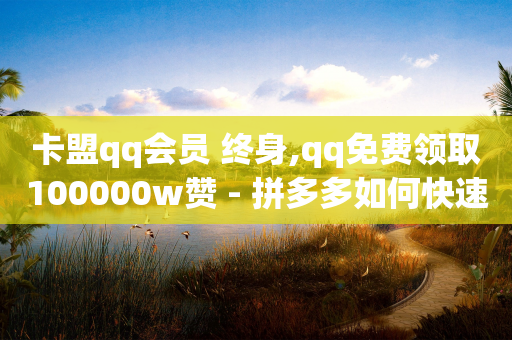 卡盟qq会员 终身,qq免费领取100000w赞 - 拼多多如何快速助力成功 - 拼多多七福卡-第1张图片-靖非智能科技传媒