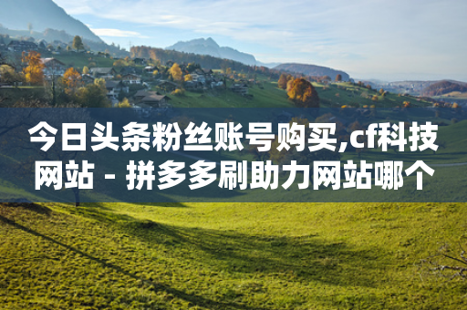 今日头条粉丝账号购买,cf科技网站 - 拼多多刷助力网站哪个可靠 - 平多多瓷砖推刀质量怎样