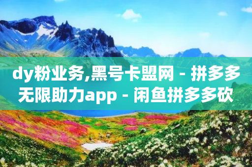 dy粉业务,黑号卡盟网 - 拼多多无限助力app - 闲鱼拼多多砍价是真的吗-第1张图片-靖非智能科技传媒