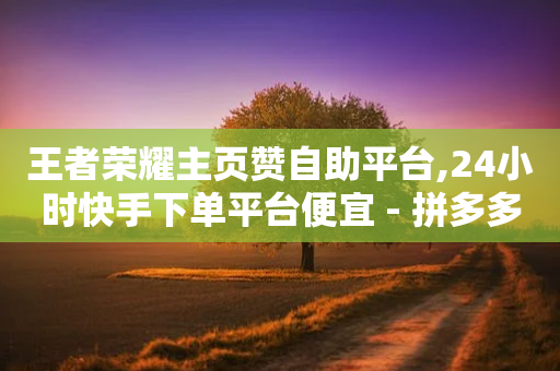 王者荣耀主页赞自助平台,24小时快手下单平台便宜 - 拼多多转盘助力网站 - 为什么拼多多会吞规格-第1张图片-靖非智能科技传媒