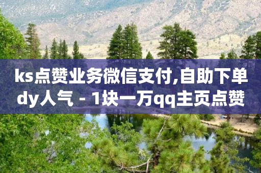 ks点赞业务微信支付,自助下单dy人气 - 1块一万qq主页点赞 - dy业务评论艾特下单