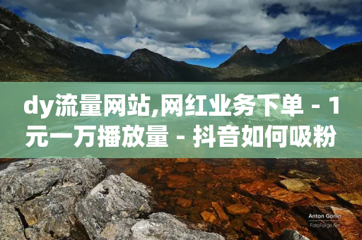 dy流量网站,网红业务下单 - 1元一万播放量 - 抖音如何吸粉最快-第1张图片-靖非智能科技传媒