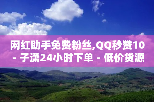 网红助手免费粉丝,QQ秒赞10 - 子潇24小时下单 - 低价货源网站