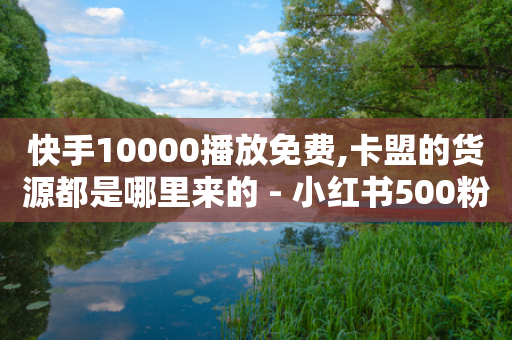 快手10000播放免费,卡盟的货源都是哪里来的 - 小红书500粉购买 - KS自定义评论网站-第1张图片-靖非智能科技传媒