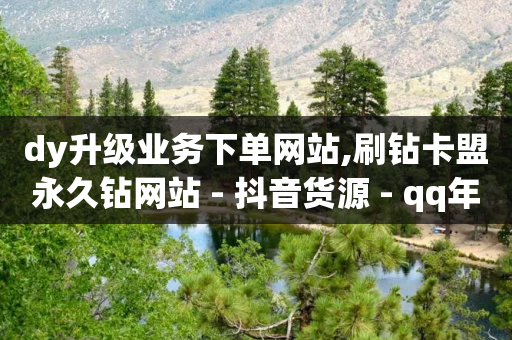 dy升级业务下单网站,刷钻卡盟永久钻网站 - 抖音货源 - qq年卡超级会员活动价