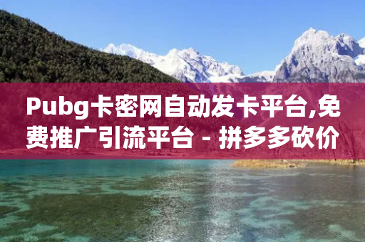 Pubg卡密网自动发卡平台,免费推广引流平台 - 拼多多砍价助力 - 拼多多0元领商品-第1张图片-靖非智能科技传媒