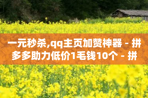 一元秒杀,qq主页加赞神器 - 拼多多助力低价1毛钱10个 - 拼多多号免费领取-第1张图片-靖非智能科技传媒