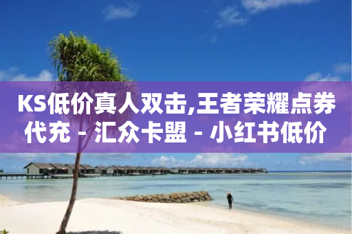 KS低价真人双击,王者荣耀点券代充 - 汇众卡盟 - 小红书低价赞下单平台-第1张图片-靖非智能科技传媒