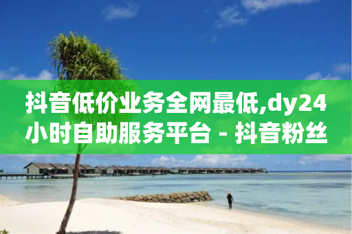 抖音低价业务全网最低,dy24小时自助服务平台 - 抖音粉丝版app - 抖音免费涨1w粉软件-第1张图片-靖非智能科技传媒