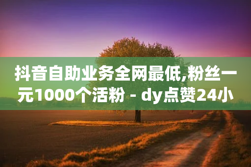 抖音自助业务全网最低,粉丝一元1000个活粉 - dy点赞24小时 - 在线刷QQ空间浏览