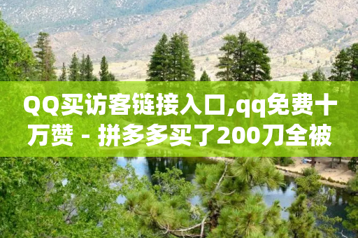 QQ买访客链接入口,qq免费十万赞 - 拼多多买了200刀全被吞了 - 拼多多砍一刀一万块-第1张图片-靖非智能科技传媒