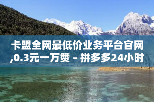 卡盟全网最低价业务平台官网,0.3元一万赞 - 拼多多24小时助力网站 - 拼多多助力互帮团QQ