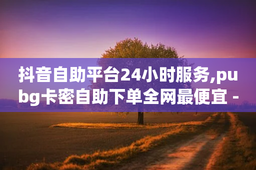 抖音自助平台24小时服务,pubg卡密自助下单全网最便宜 - 卡盟一手货源网站手游 - 快手自助免费秒刷