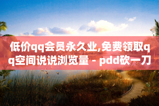 低价qq会员永久业,免费领取qq空间说说浏览量 - pdd砍一刀助力助力平台官网 - 12315举报拼多多天天领现金-第1张图片-靖非智能科技传媒