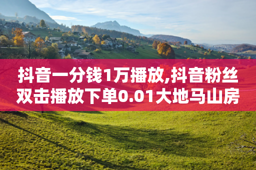 抖音一分钱1万播放,抖音粉丝双击播放下单0.01大地马山房产活动 - 快手业务网站 - 网红助手的售后服务