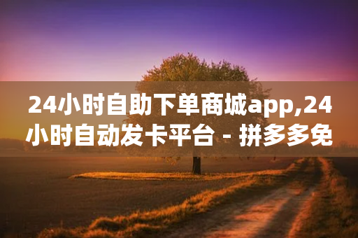 24小时自助下单商城app,24小时自动发卡平台 - 拼多多免费助力工具app - 直通车一天烧200多吗