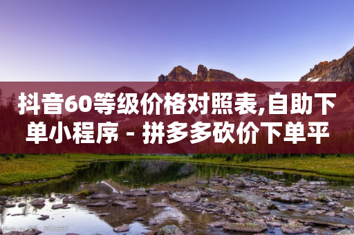 抖音60等级价格对照表,自助下单小程序 - 拼多多砍价下单平台 - 拼多多助力推金币网站-第1张图片-靖非智能科技传媒