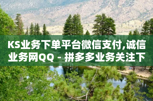 KS业务下单平台微信支付,诚信业务网QQ - 拼多多业务关注下单平台入口链接 - 拼多多专员客服电话-第1张图片-靖非智能科技传媒