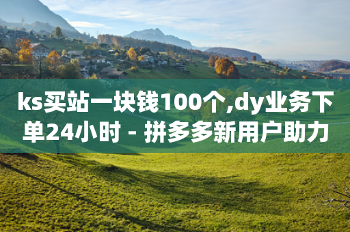 ks买站一块钱100个,dy业务下单24小时 - 拼多多新用户助力网站 - 拼多多推金币助力