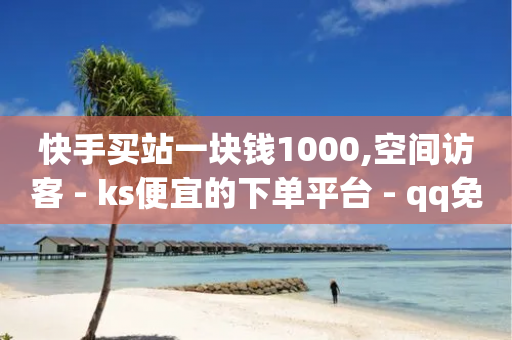 快手买站一块钱1000,空间访客 - ks便宜的下单平台 - qq免费领取空间访客500-第1张图片-靖非智能科技传媒