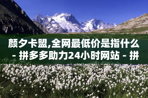 颜夕卡盟,全网最低价是指什么 - 拼多多助力24小时网站 - 拼多多700元知乎-第1张图片-靖非智能科技传媒