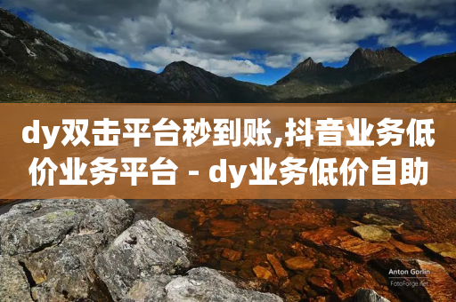 dy双击平台秒到账,抖音业务低价业务平台 - dy业务低价自助下单转发便宜 - 自助下单 - 最专业的平台-第1张图片-靖非智能科技传媒