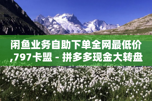 闲鱼业务自助下单全网最低价,797卡盟 - 拼多多现金大转盘助力50元 - 拼多多帮刀网站-第1张图片-靖非智能科技传媒