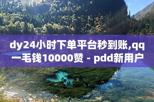 dy24小时下单平台秒到账,qq一毛钱10000赞 - pdd新用户助力网站 - 拼多多pc端登录方法