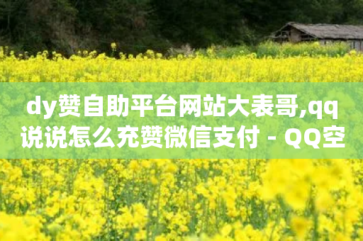 dy赞自助平台网站大表哥,qq说说怎么充赞微信支付 - QQ空间说说恢复助手 - 自助下单云商城-第1张图片-靖非智能科技传媒