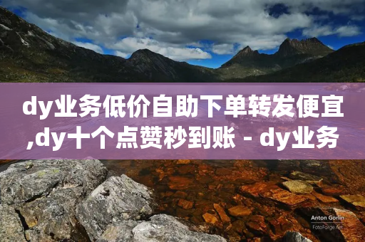 dy业务低价自助下单转发便宜,dy十个点赞秒到账 - dy业务低价自助下单转发便宜 - 抖音粉丝增加的app