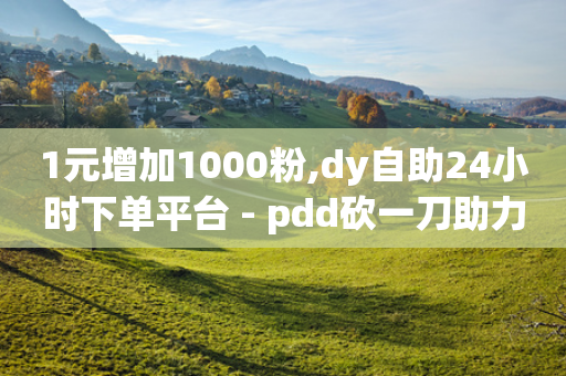 1元增加1000粉,dy自助24小时下单平台 - pdd砍一刀助力助力平台官网 - 拼多多吞刀怎么破解