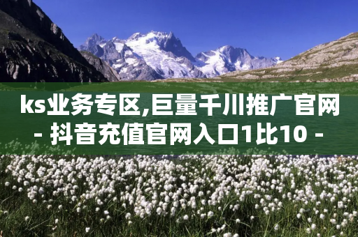 ks业务专区,巨量千川推广官网 - 抖音充值官网入口1比10 - 快手流量推广网站-第1张图片-靖非智能科技传媒