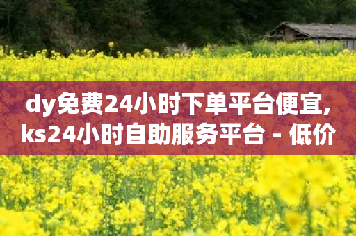 dy免费24小时下单平台便宜,ks24小时自助服务平台 - 低价买王者点券的平台 - 抖音自动推广引流app