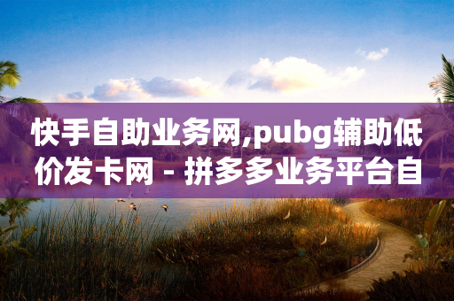 快手自助业务网,pubg辅助低价发卡网 - 拼多多业务平台自助下单 - 淘宝业务助力平台