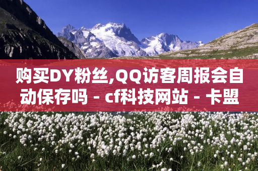 购买DY粉丝,QQ访客周报会自动保存吗 - cf科技网站 - 卡盟24小时自动发卡平台