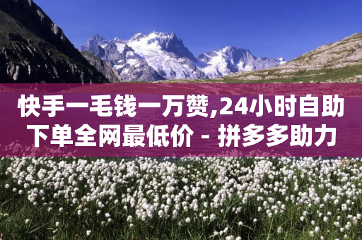 快手一毛钱一万赞,24小时自助下单全网最低价 - 拼多多助力软件免费 - 拼多多怎么没拍下就付款了