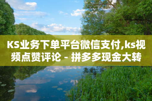 KS业务下单平台微信支付,ks视频点赞评论 - 拼多多现金大转盘助力50元 - 拼多多怎样能关掉自动付款-第1张图片-靖非智能科技传媒