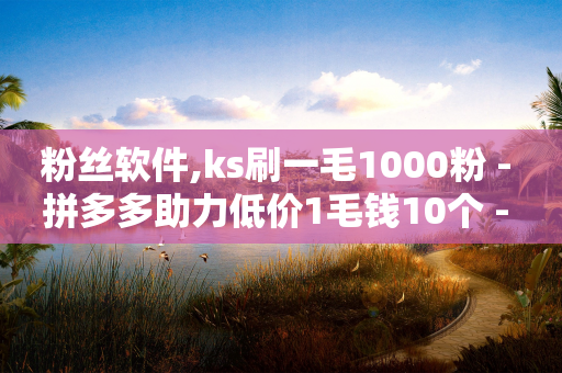 粉丝软件,ks刷一毛1000粉 - 拼多多助力低价1毛钱10个 - 拼多多砍一刀怎么帮别人砍-第1张图片-靖非智能科技传媒