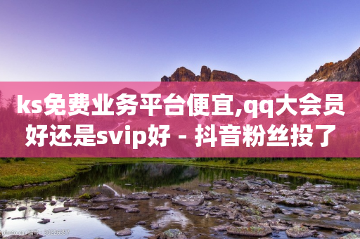 ks免费业务平台便宜,qq大会员好还是svip好 - 抖音粉丝投了钱会兽多久 - 抖音24小时自助服务-第1张图片-靖非智能科技传媒