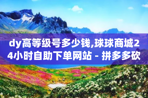 dy高等级号多少钱,球球商城24小时自助下单网站 - 拼多多砍刀软件代砍平台 - 快手助力网站